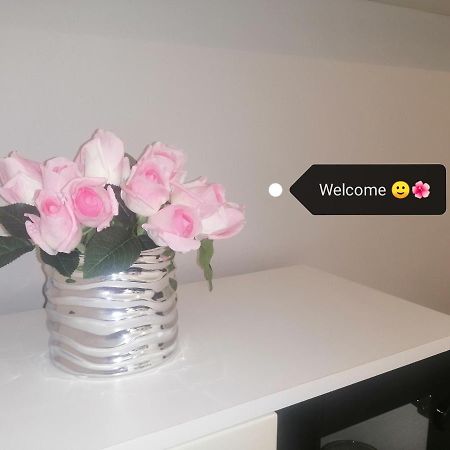 Apartment Vera, 80 M From The Sea Novigrad  Bagian luar foto