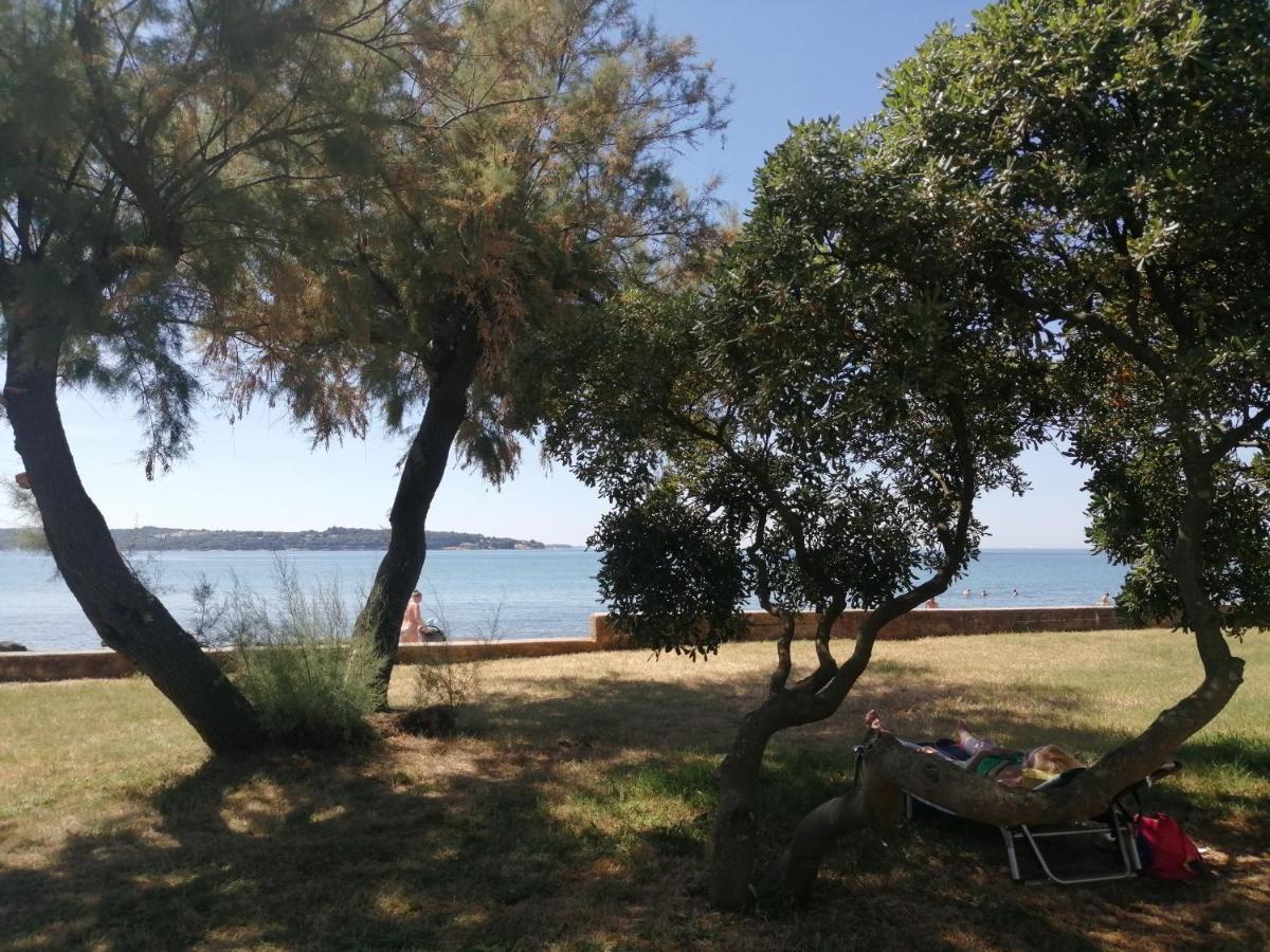Apartment Vera, 80 M From The Sea Novigrad  Bagian luar foto