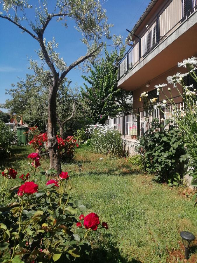 Apartment Vera, 80 M From The Sea Novigrad  Bagian luar foto