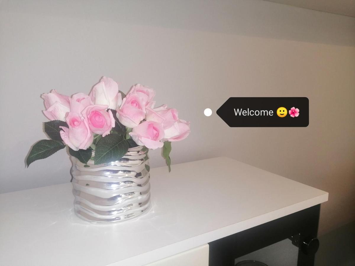 Apartment Vera, 80 M From The Sea Novigrad  Bagian luar foto